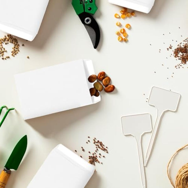 100Pcs Small White Envelopes, Self-Adhesive Seed Envelopes Seed Packets Kraft Paper Coin Envelopes Money Envelopes for Wages, Seeds, Coins, Beads or Stamps(10x6cm/3.9x2.4inch)