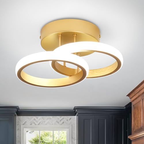 EIDISUNY LED Ceiling Light Modern Ceiling Lamp Silver Round Simple Ceiling Light Fixture LED for Corridor Kitchen Stairs Hallway Study Room Bedroom Living Room - Gold 22W (Cool White Light 6000K).