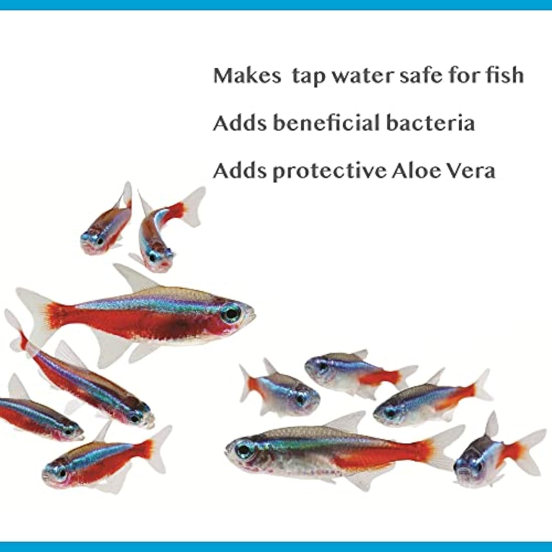 Interpet Bioactive Tapsafe Aquarium Water Dechlorinator & Conditioner, 50 ml, Keeps Fish Safe, Fast Acting, Removes Harmful Toxins from Tap Water Before Adding to Your Tank