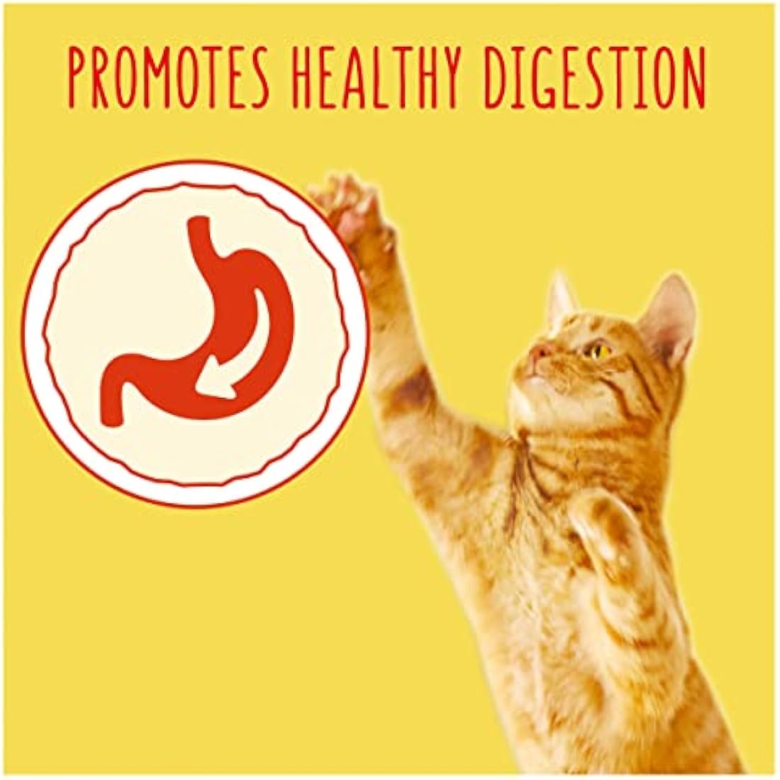 GO-CAT Adult Chicken and Duck Dry Cat Food 4kg, Pack of 2