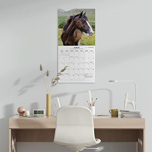 Grupo Erik Horses Wall Calendar 2023 12' x 12' FSC| 12 Month Planner | Square Wall Calendar 2023 | Family Planner Calendar 2023 | Horse Calendar 2023 | + 4 Bonus Months