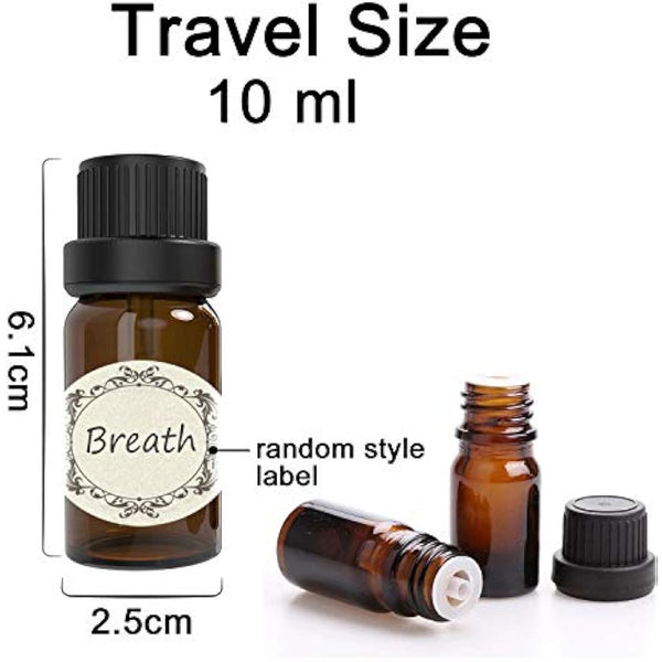 Alledomain 10Pcs, 10ml Essential Oils Amber Glass Bottles with Black Cap & 1 Dropper & 12 Labels Mini Empty Amber Bottle Refillable Sample Container for Massage oils/Aromatherapy/Perfume