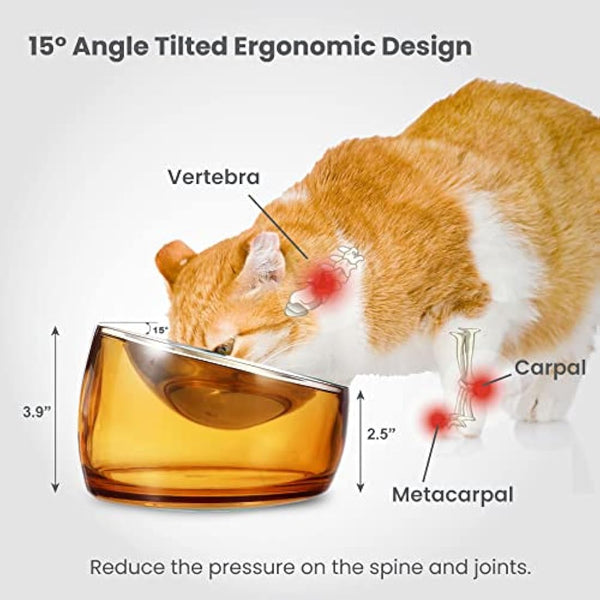 Felli Pet Whisker Stress Friendly Raised Angled Cat Wet Food Bowl Stainless Steel Shallow Dish Tilted, Anti Vomit, Slanted Feeding Plate Metal Elevated Acrylic Flat Faced Dog (0.5 Cups, Gold)