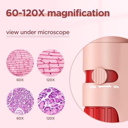 60x-120x Mini Pocket Microscope for Kids Adults, Portable Handheld Microscope, Miniscope Portable for Kids Little Scientist Students School Minilabsters Education