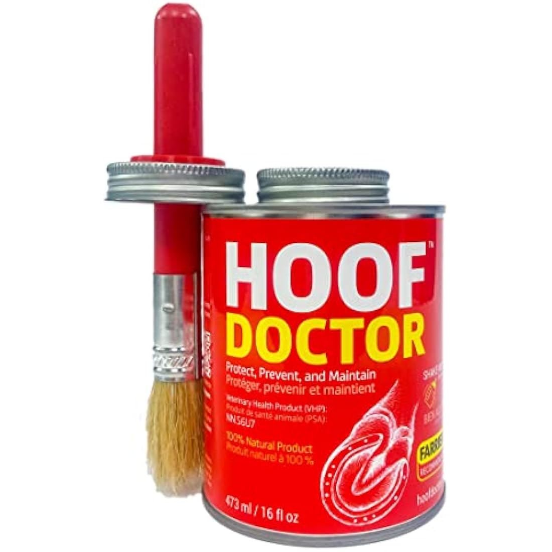 Hoof Doctor - White Line | Thrush | Abscesses | Quarter Crack | Seedy Toe | Corns and Sole Bruises - 100% All-Natural Hoof Care Product - Birch Bark Extract, Betulin, Omega-3 with Vits A & D (16 Oz)
