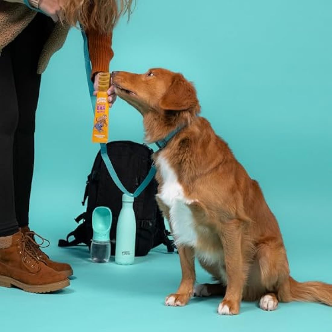 Edgard Cooper Natural Dog Treats - Chicken Keep It Up Bar (24 x 30g bar), Grain Free, High in Protein & fresh meat, full of essential amino acids for healthy insides