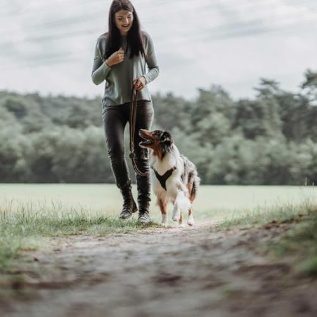 HUNTER Training leash, 20/200 Soft genuine cow leather, dark brown