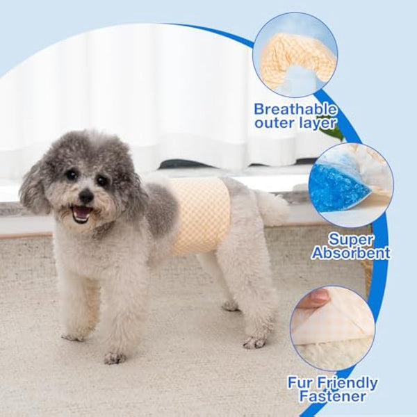 Pet Soft Male Dog Nappies - Disposable Pet Diapers Male Dog Wraps, Super Absorbent Doggy Puppy Nappies for Dogs & Cats Urinary incontinence Small 72count (S 12count (12'-19'))