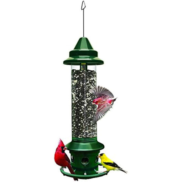 Jacobi Jayne 1024-V01 Feeder Buster Plus-Marauders Off Guaranteed Squirrel and Large Bird Proof/Metal, Green