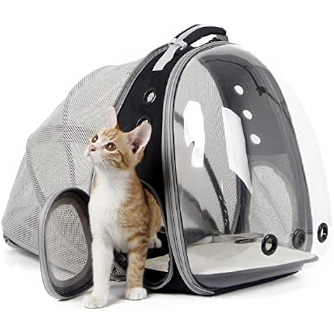 Interfashioner® Cat Backpack Carrier, Fit up to 5.5 kgs Pet, Back Extension Space Capsule Clear Bubble Window Pet Carry Transport Book Bag for Kitten Bunny(Black, Back Extension)
