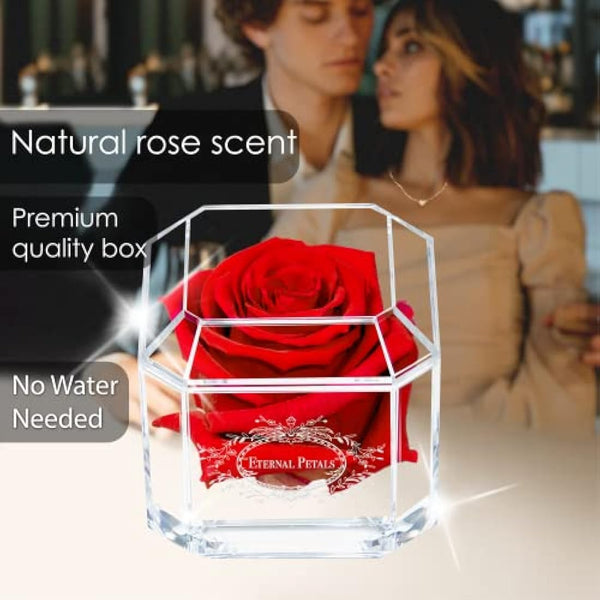 A 100% Real Rose That Lasts Years - Eternal Petals, Handmade in UK, Flowers Delivery Next Day Prime – White Gold Solo (Red)
