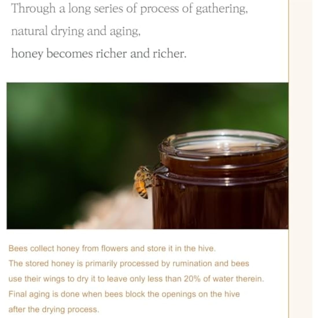 I'm from Honey Serum 30ml, 30.63% of Honey Glow Queen