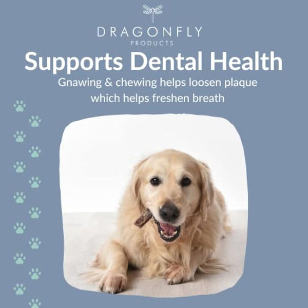 Dragonfly Products 10 pieces Bulls Pizzle Bully Sticks for Dogs & Puppies | Healthy, Natural Dog Treats Chews | Grain Free Treat