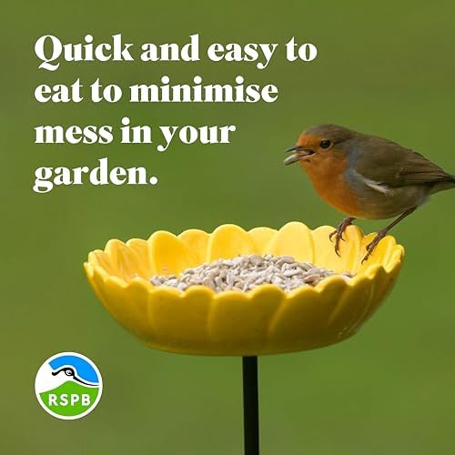 RSPB Sunflower Hearts Wild Bird Food 4kg, High in Energy & Protein, Great For Bird Feeders, Supporting The RSPB Charity, Resealable & Recyclable Packaging