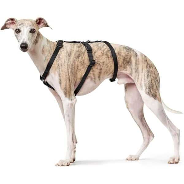 HUNTER Escape-proof harness Vario Rapid, L black, Nylon