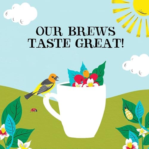 Clipper Latin American Organic Instant Decaf Coffee | 6 x 100g Jars | Bulk Buy Gourmet Decaffeinated Instant Coffee | Sustainable Fairtrade Arabica by Clipper Teas | Ethically Sourced & Eco Conscious