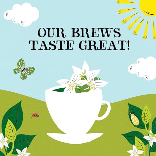 Clipper Decaf Organic Coffee | 6x 100g Jars Decaffeinated Instant Coffee | Bulk Buy for Home & Catering | Gourmet Sustainable Fairtrade Coffee by Clipper Teas | Ethically Sourced
