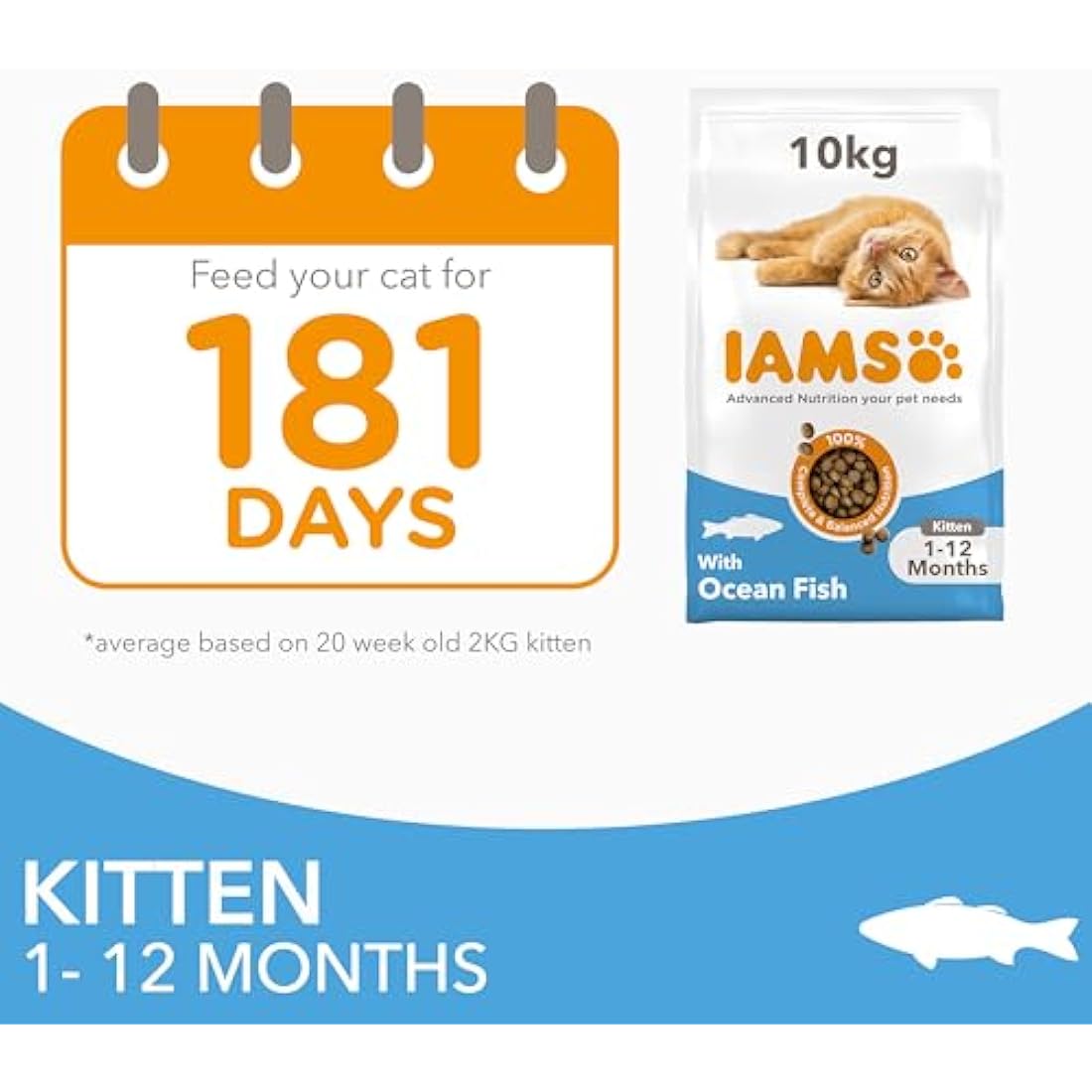 IAMS Kitten Complete Dry Cat Food Ocean Fish 10kg - For Healthy Growth