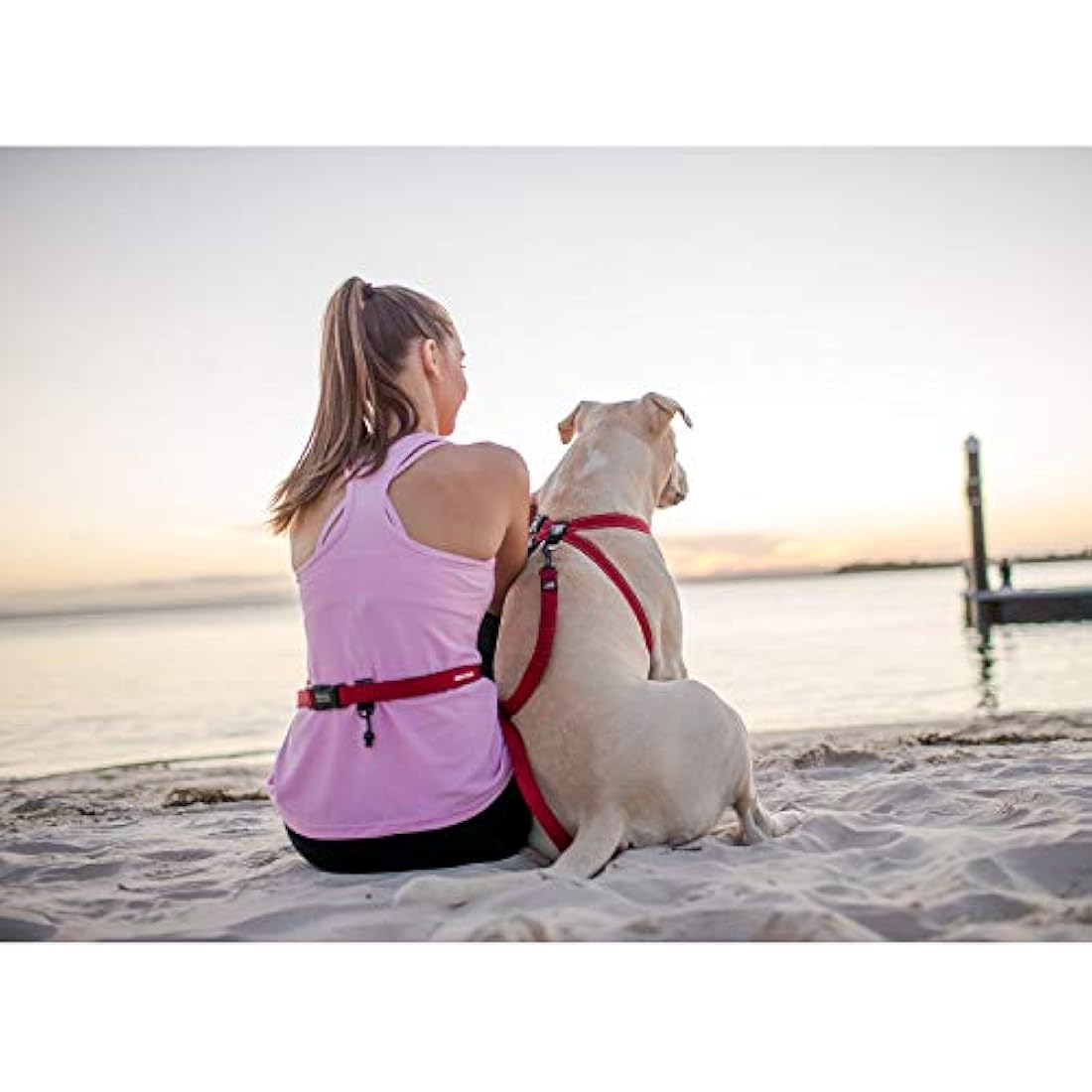 EzyDog Road Runner Dog Lead, 82-Inch, Red