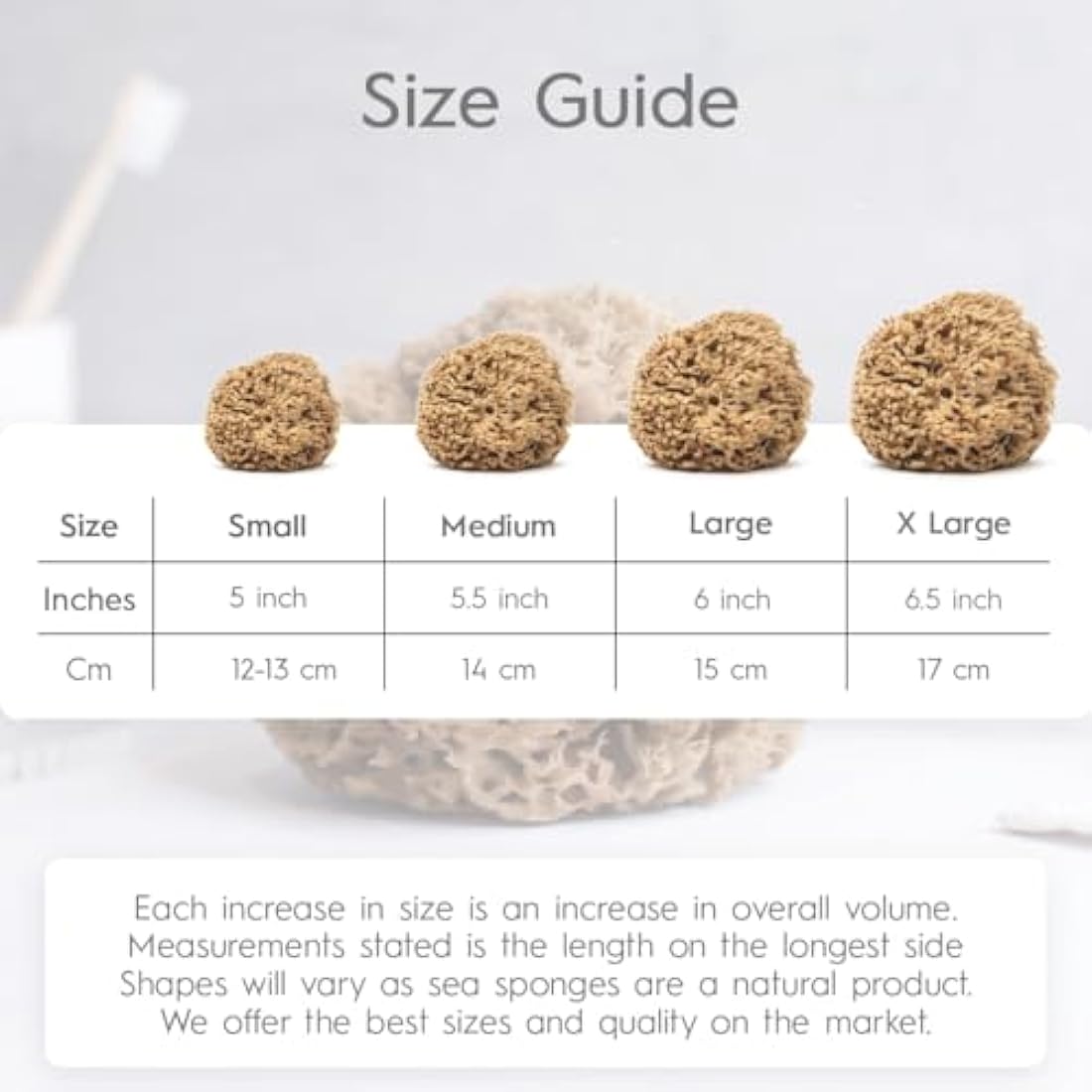 NAROA Natural Soft Honeycomb Sea Sponges for Shower in Gift Box | Gentle Sea Loofah for Healthy Skin | Smooth Body Puff Relaxing Bathing Men Women (Small)