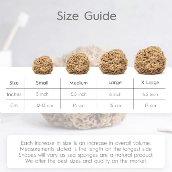 NAROA Natural Soft Honeycomb Sea Sponges for Shower in Gift Box | Gentle Sea Loofah for Healthy Skin | Smooth Body Puff Relaxing Bathing Men Women (Small)