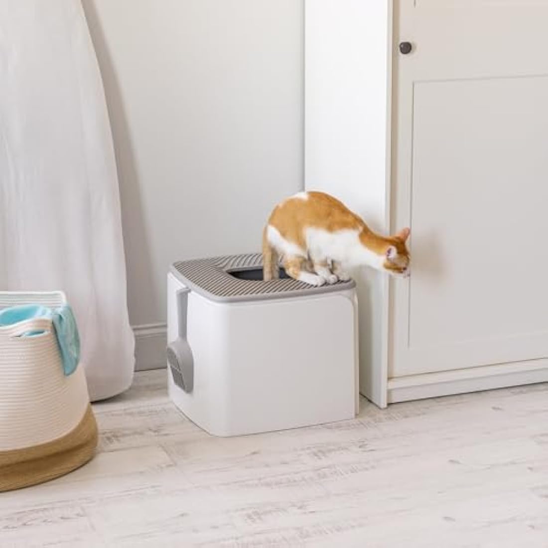 IRIS USA Premium Top Entry Cat Litter Box PRCL-SQ, White