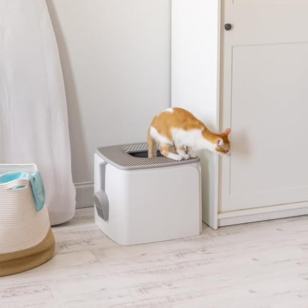 IRIS USA Premium Top Entry Cat Litter Box PRCL-SQ, White