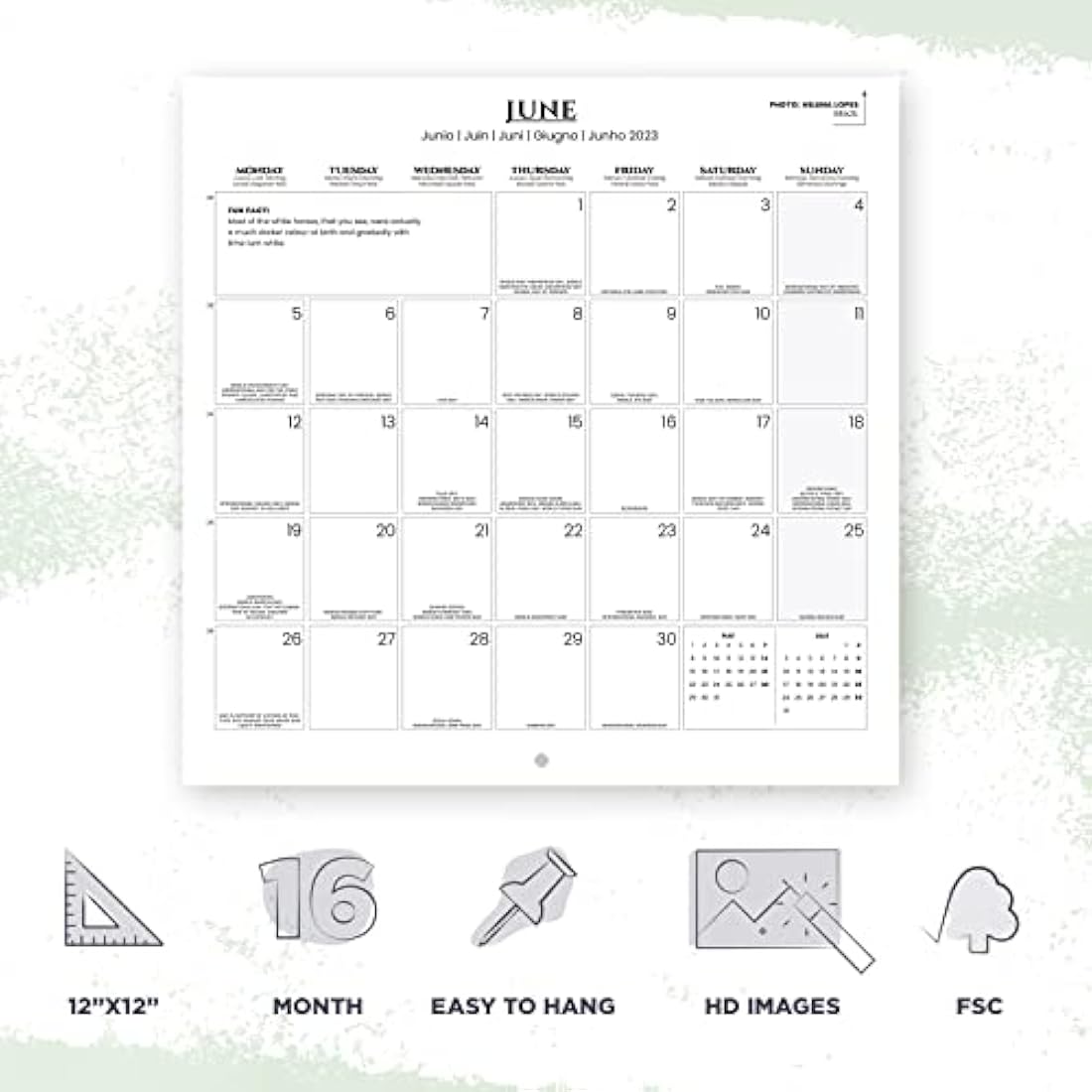 Grupo Erik Horses Wall Calendar 2023 12' x 12' FSC| 12 Month Planner | Square Wall Calendar 2023 | Family Planner Calendar 2023 | Horse Calendar 2023 | + 4 Bonus Months