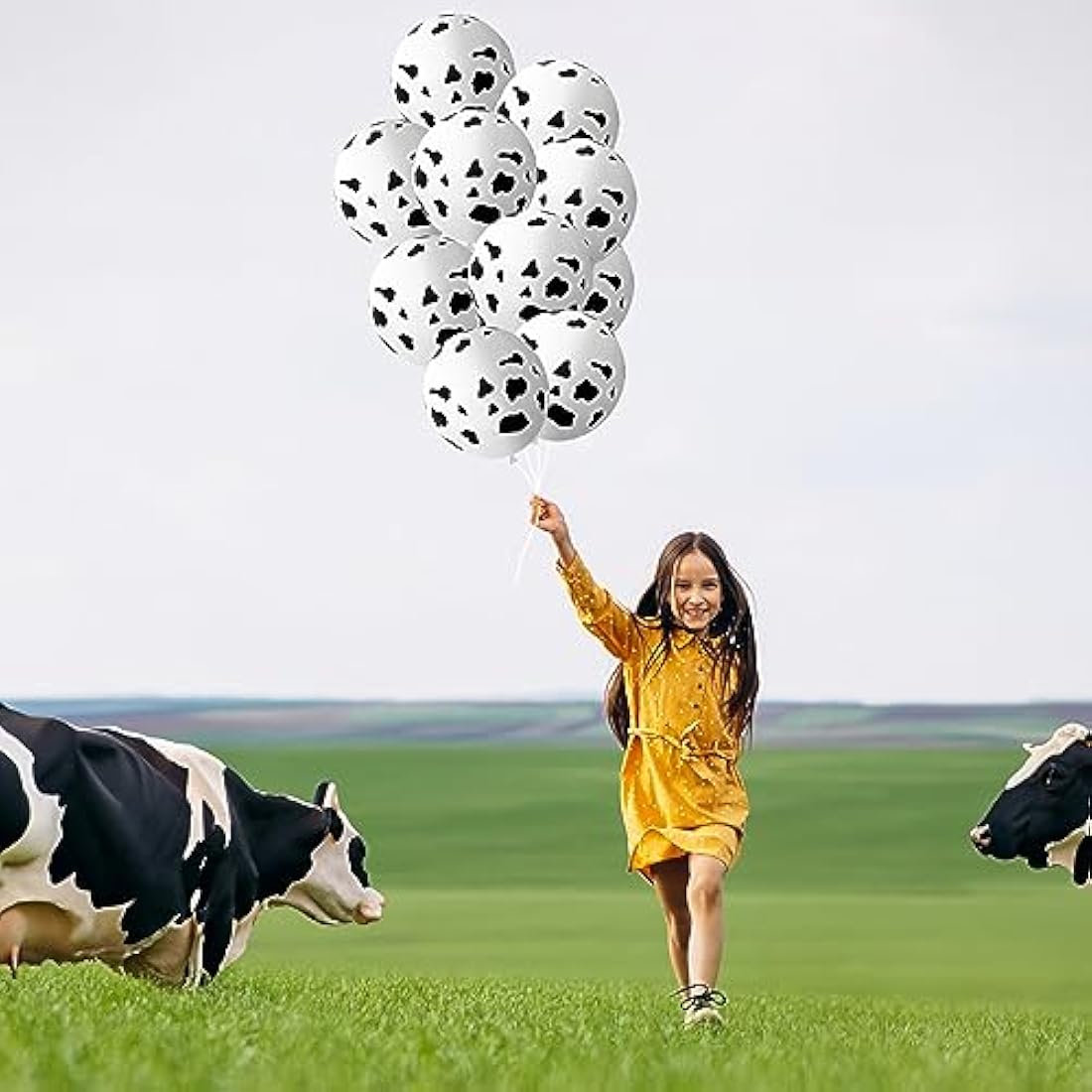 Isndare Cow Print Balloons, 30 Pieces Cute Cow Latex Balloons for , Black White Western Cowboy Cowgirl Balloons for Farm Theme First Rodeo Birthday Baby Shower decor Supplies