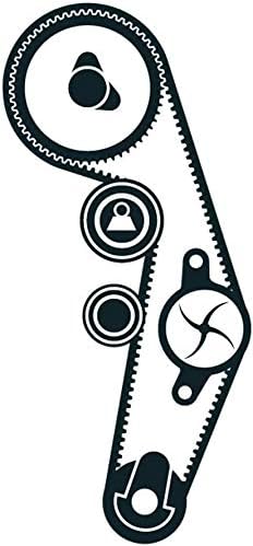 SKF VKMC 01250-1 Timing belt and water pump kit