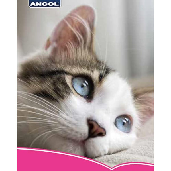 Ancol Camo Safety Cat Collar in Green - Comfortable Pet Accessory with Break Away Buckle - Kitten Training Neckband