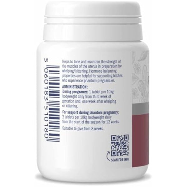 Dorwest Raspberry Leaf Tablets for Dogs And Cats, 200 Tablets, Pregnancy Support For Pets – For Natural Hormonal Balance and Phantom Pregnancies