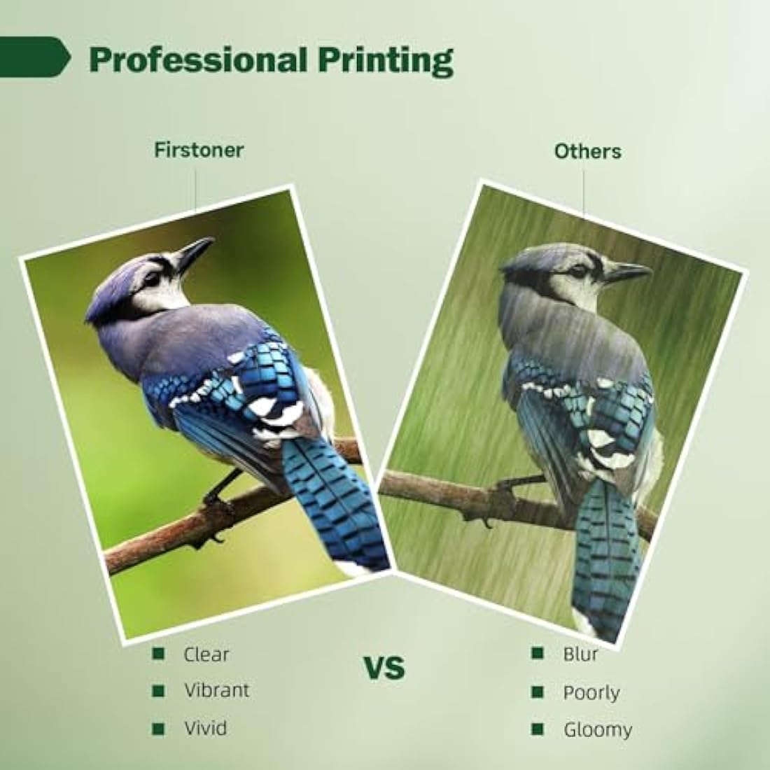 Firstoner PG-575XL CL-576XL Printer Cartridges Multipack, PG-575XL CL-576XL Printer Cartridge Replacement for Canon 575 576 Cartridges for PIXMA TS3550i TS3551i TS3750i TR4750i TR4751i TR4755i TR4756i