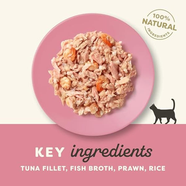 Applaws 100% Natural Wet Cat Food Tins, Tuna Fillet with Prawn in Broth 70 g for Adult Cats (24 x 70 g Tins)