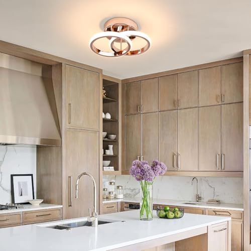 EIDISUNY LED Ceiling Light Modern Ceiling Lamp Gold Round Simple Ceiling Lights Fixture LED for Corridor Kitchen Stairs Hallway Study Room Bedroom Living Room - Chrome Gold 22W Natural Light 4500K.