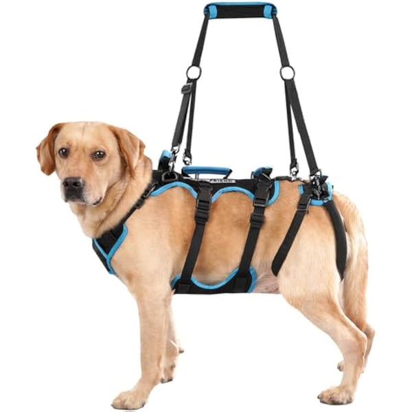 Lafoty Dog Lift Harness for Medium Male Dogs Friendly, Help Em Up Harness, Full Body Dog Carrying with Handles for Old/Disabled/Joint Injuries Dogs (Black, Medium)