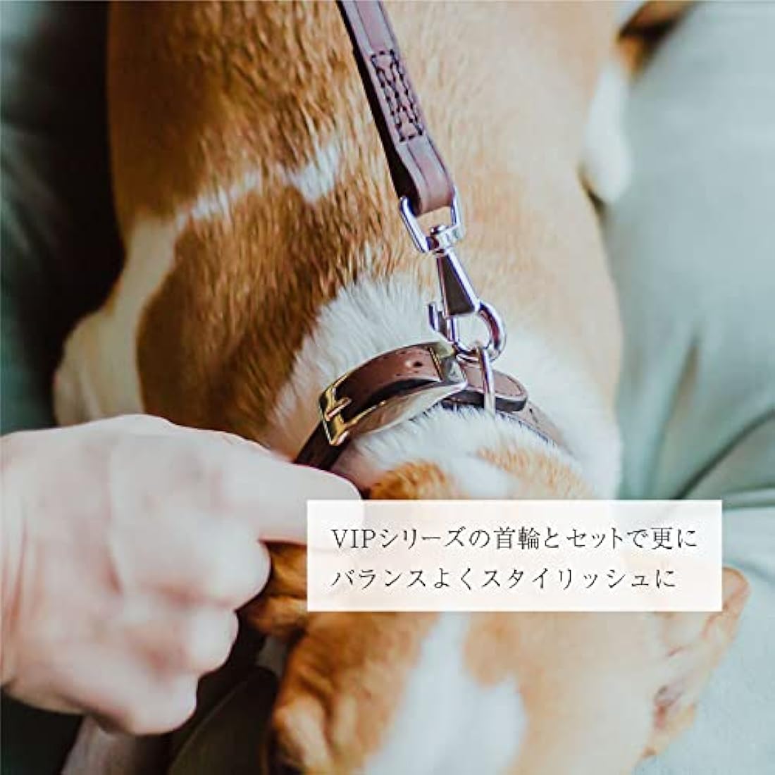 Ferplast VIP G20/150 Dog Lead, 20 mm/ 150 cm, Brown