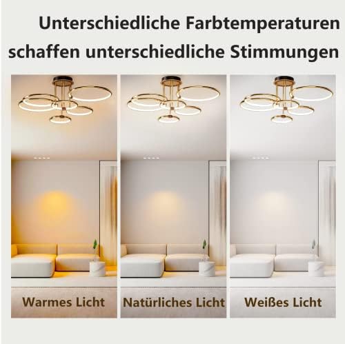 EIDEARAY LED Ceiling Light，Modern Nest Design Ceiling Lamp Dimmable with Remote Control Lamp Golden Ring Ceiling Lighting Apply Living Room Kitchen Hallway Balcony Dining Room (Six Rings)