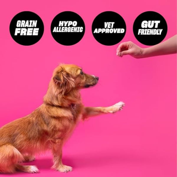 Insect Protein Superfood Dog Treats for Daily Training and High Value Rewards - Grain Free, High Protein and Planet Friendly - Sit Roll Treat Repeat (10 x 100g) - GRUB CLUB