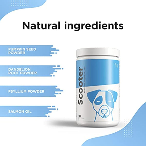 Dog's Lounge - SCOOTER - Digestive Soft Chews for Dogs | Wheat Free Supplement for Healthy Anal Glands with Added Pumpkin | Support Normal Bowel Function and Eliminate Scooting (60 chews)