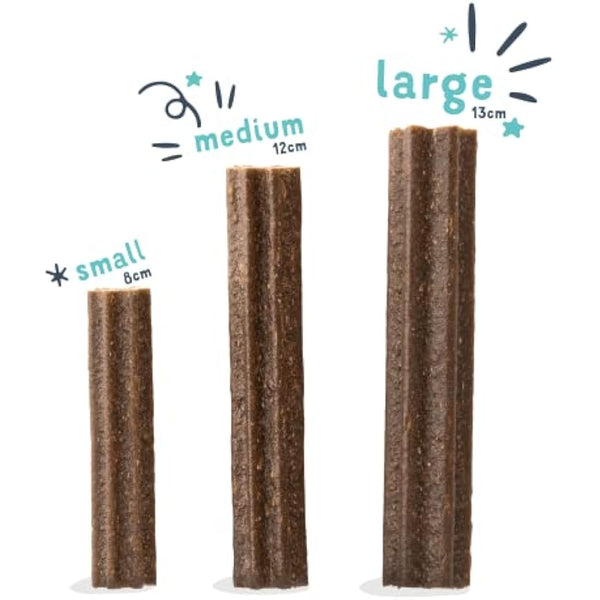 Edgard Cooper Treats Dental Stick, Big - Strawberry and Mint - (8 x 7 stick pack), Natural Dog Chew Sticks, Dental Hygiene, One per Day, Low Calorie, Long Chewing, Fresh Breath