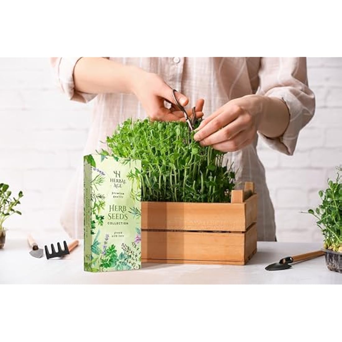 Herbal Age Grow Your Own Herb Garden Kit, 12 Herbs Plants, 8700 Herb Seed Box for Planting UK, Salad Leaves, Basil Seeds, Mint, Cress Seeds, Veg Plant Gardening Gift for Men, Women, Kids