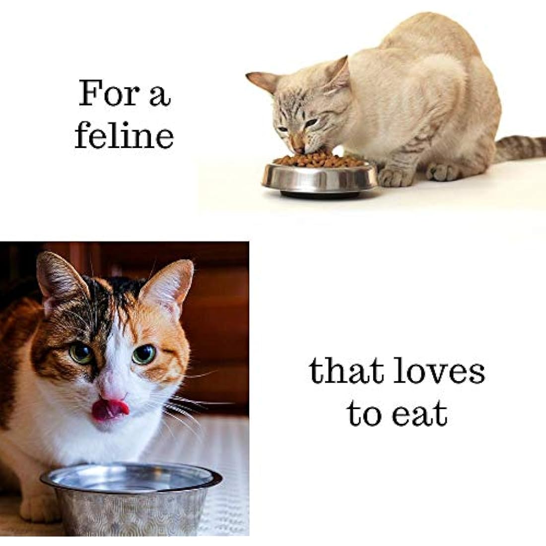 Hills Science Plan Adult Sensitive Stomach And Skin Chicken Dry Cat Food 1.5kg