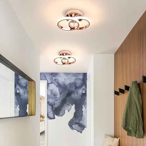 EIDISUNY LED Ceiling Light Modern Ceiling Lamp Gold Round Simple Ceiling Lights Fixture LED for Corridor Kitchen Stairs Hallway Study Room Bedroom Living Room - Chrome Gold 22W Natural Light 4500K.