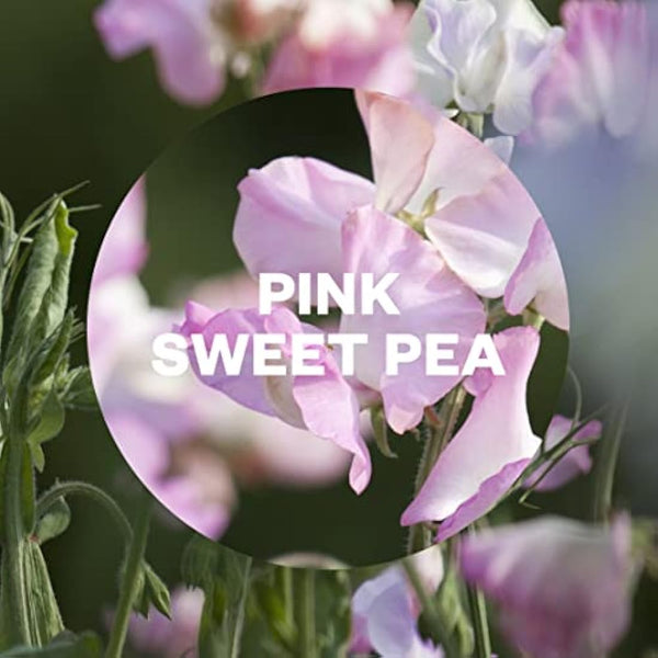 Air Wick Automatic Air Freshener Freshmatic Spray Refills, Pink Sweat Pea, Pack 4 x 250ml, Natural Essential Oils, Last up to 280 days, Air freshener