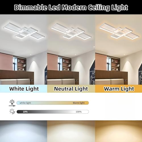 Jsz LED Dimmable Ceiling Light Living Room Lamp with Remote Control Modern Minimalist Ceiling Light Creative Metal Acrylic Design Ceiling Light