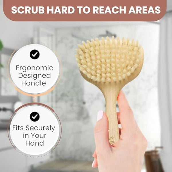 Shash Since 1869: Intense 100% Boar Bristle Face Brush - Made in Germany for Gentle Exfoliation, Reduced Flaking, and Fine Lines - Unveil an Even, Glowing Complexion, Sustainably Sourced