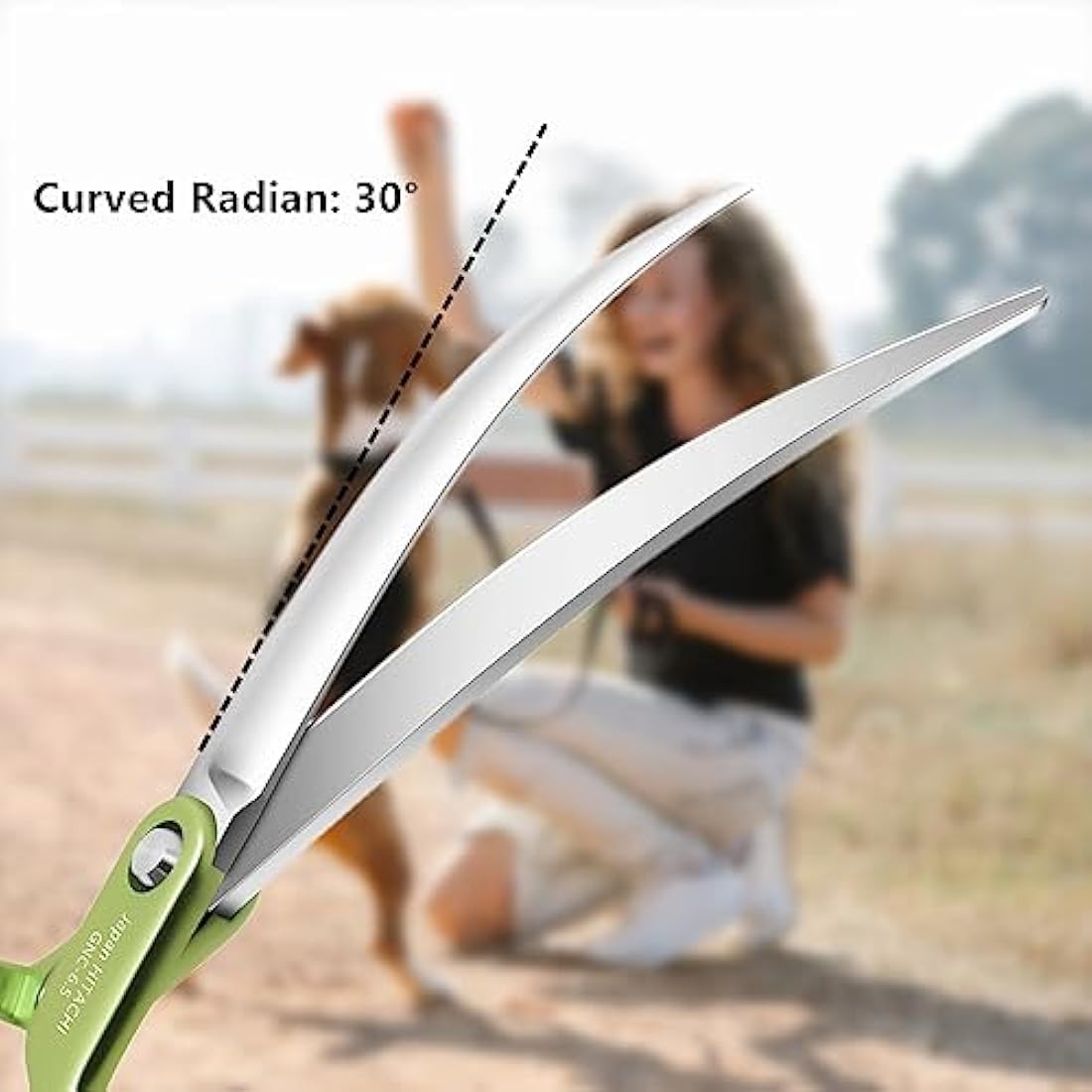 HASHIMOTO Curved Dog Grooming Scissors, Extremely Light Weight, 6.5 inch, 30 Degree Curved Blade, Matt Surface