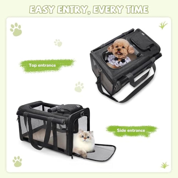 ALLSOPETS Foldable Cat Carrier Bag, Soft-Sided Pet Carrier for Small Dogs and Cats up to 9 Kg, Portable Dog Travel Bag for Vet Visits Car Plane Outdoor Travel (Classic Black)