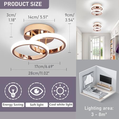 EIDISUNY LED Ceiling Light Modern Lamp Gold Round Simple Fixture for Corridor Kitchen Stairs Hallway Study Room Bedroom Living Room - Chrome Gold 22W Cool White Light 6000K